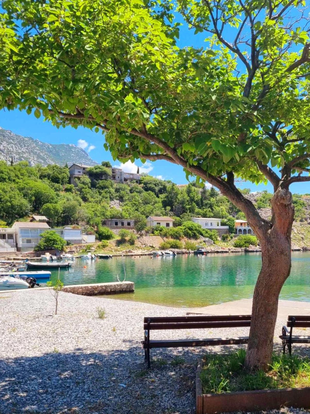 Rosemary Resort Cesarica Eksteriør bilde